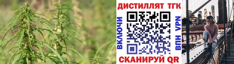 KRAKEN рабочий сайт Бородино Дистиллят ТГК гашишное масло продажа наркотиков