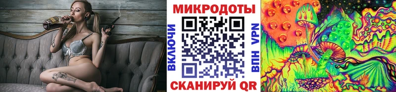 где купить наркоту  Бородино  Галлюциногенные грибы Psilocybe 